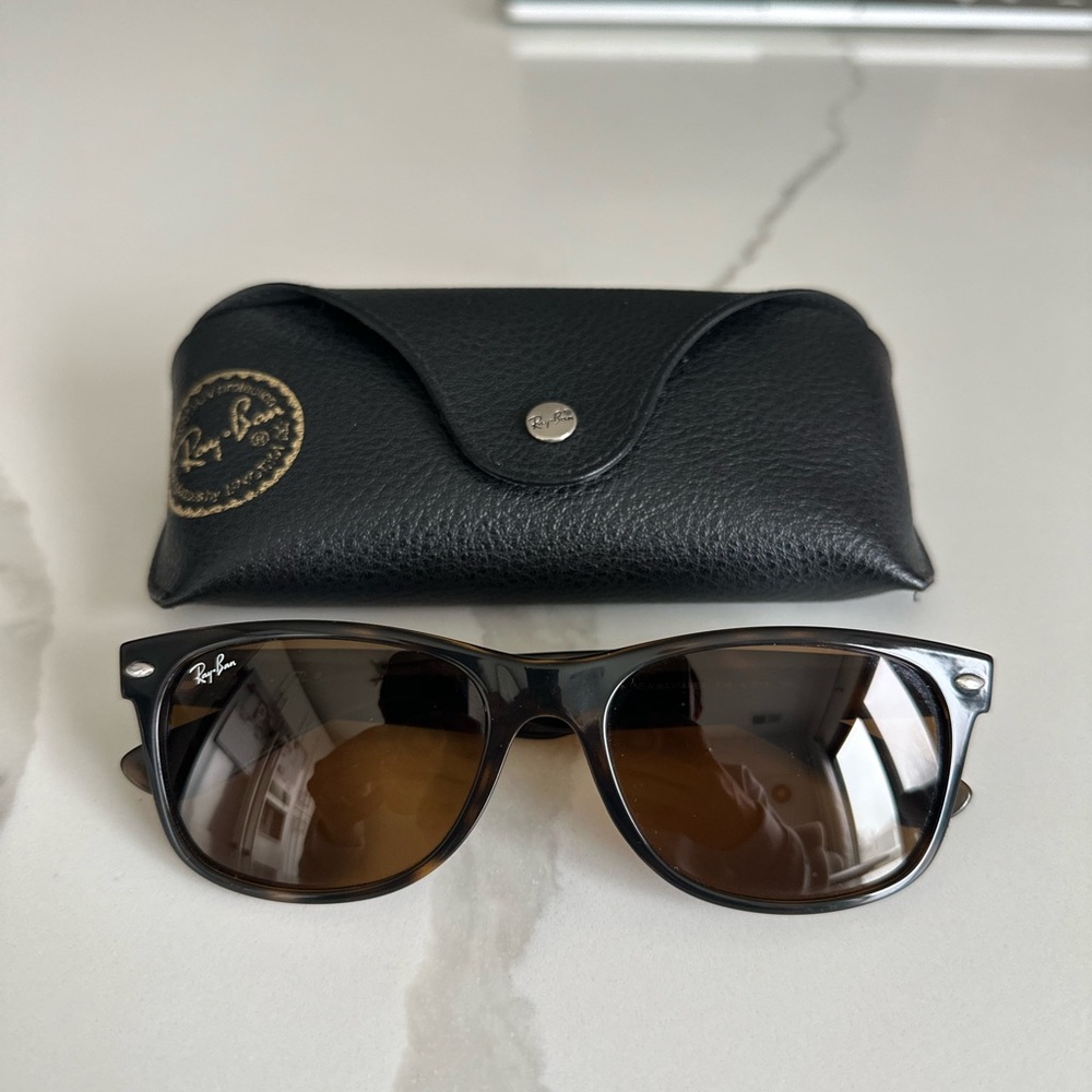 Ray-Ban Brown Frame with Brown Lens Sunglasses